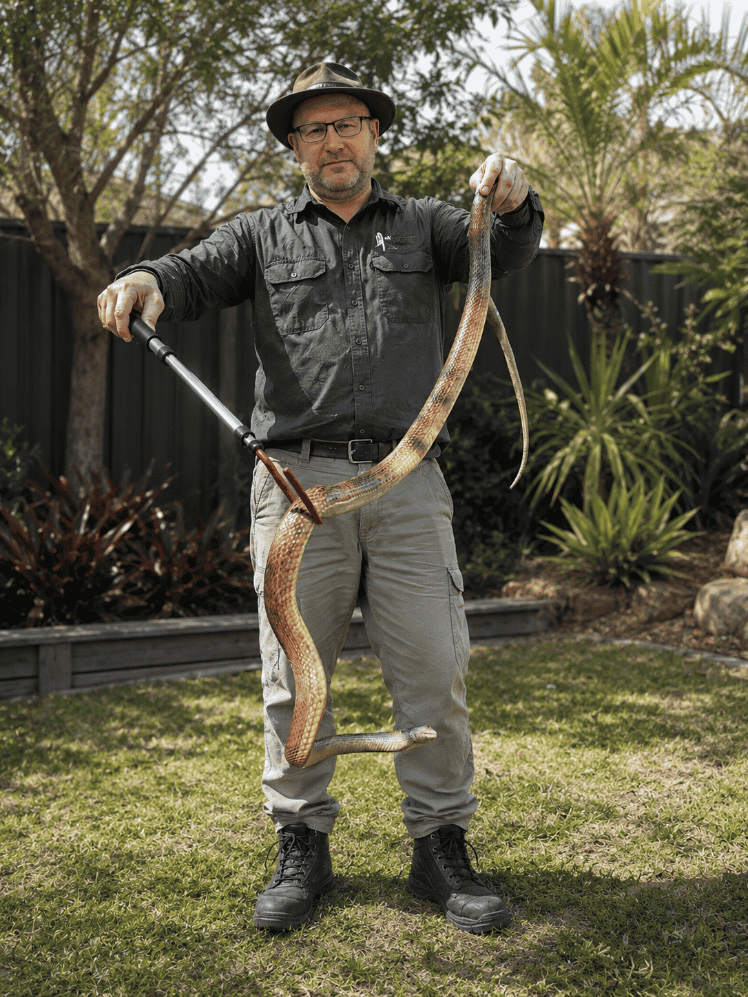Snake relocation in Australia